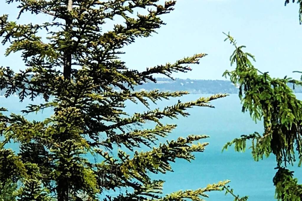 'New' Sunkissed Villa On The Old Hill Balatonalmádi المظهر الخارجي الصورة